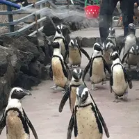 伊勢シーパラダイスの写真・動画_image_182262