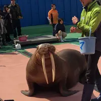 伊勢シーパラダイスの写真・動画_image_182263