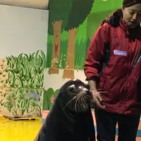 伊勢シーパラダイスの写真・動画_image_182264