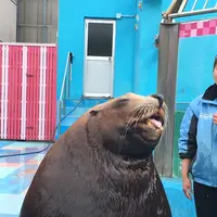 伊勢シーパラダイスの写真・動画_image_182265