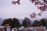 松田山ハーブガーデンの写真・動画_image_182336