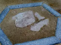 忌宮神社の写真・動画_image_182486