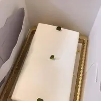 しろたえの写真・動画_image_182539