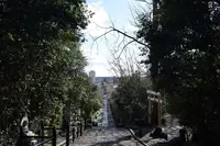輪王寺の写真・動画_image_182936