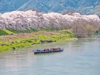 淀川河川公園背割堤地区の写真・動画_image_183060