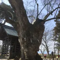 川中島古戦場の写真・動画_image_183303