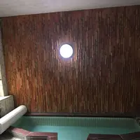 衣笠温泉旅館の写真・動画_image_183324