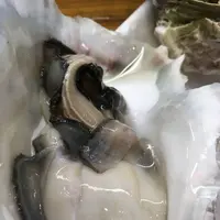 近江町市場の写真・動画_image_183505