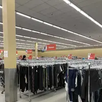 Saversの写真・動画_image_183629