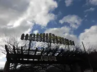 道の駅 うずしおの写真・動画_image_183714