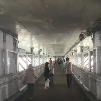 新湊大橋の写真・動画_image_183783