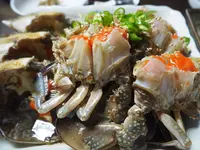 眞味食堂の写真・動画_image_183986