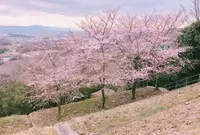 関西大学 高槻キャンパスの写真・動画_image_184441