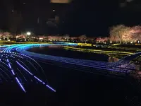 マルセイユの写真・動画_image_184496