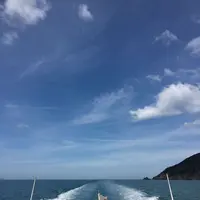 蘇洞門めぐり遊覧船の写真・動画_image_184664