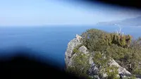浅間神社の写真・動画_image_184675