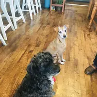 手作り洋食の店一番館の写真・動画_image_184742