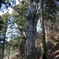 玉置神社の写真・動画_image_184776