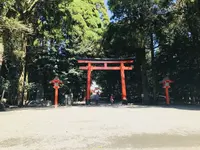 霧島神宮の写真・動画_image_184798