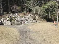 霧島神宮の写真・動画_image_184800