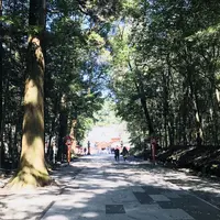 霧島神宮の写真・動画_image_184802