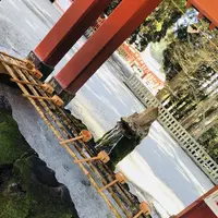 霧島神宮の写真・動画_image_184803