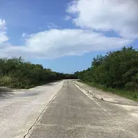 竹富島の写真・動画_image_184910