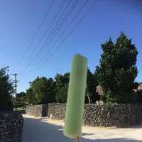 竹富島の写真・動画_image_184917