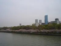 毛馬桜之宮公園の写真・動画_image_185161