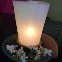うかい竹亭の写真・動画_image_185242