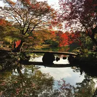 六義園の写真・動画_image_185276