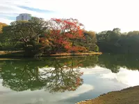 六義園の写真・動画_image_185277