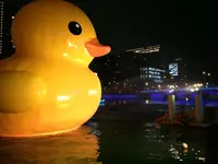 ほたるまちの写真・動画_image_18543