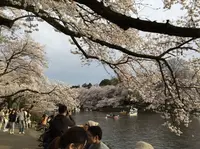 井の頭自然文化園の写真・動画_image_185638