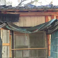 鳳来寺山奥之院の写真・動画_image_185855