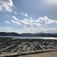 青島神社の写真・動画_image_186069