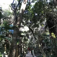 青島神社の写真・動画_image_186073