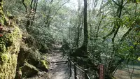 菊池渓谷の写真・動画_image_186150