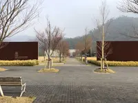 出雲大社の写真・動画_image_186542