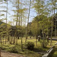 界 玉造の写真・動画_image_186566