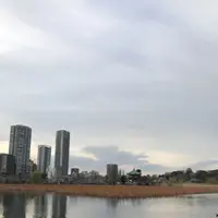 不忍池の写真・動画_image_186626