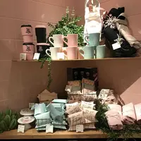 【閉業】アルフレッドティールーム 青山本店 （ALFRED TEA ROOM） の写真・動画_image_186648