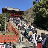 鶴岡八幡宮の写真・動画_image_186655