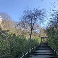 明月院（あじさい寺）の写真・動画_image_186664