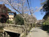 明月院（あじさい寺）の写真・動画_image_186665