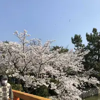 九華公園(桑名城趾)の写真・動画_image_186750