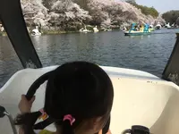 井の頭恩賜公園の写真・動画_image_186972