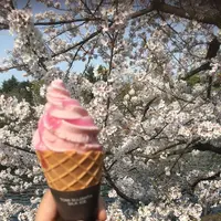 井の頭恩賜公園の写真・動画_image_186973