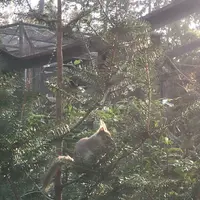 井の頭自然文化園の写真・動画_image_186975