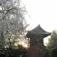 埼玉狭山市広瀬神社の写真・動画_image_186990